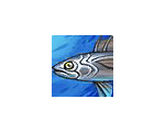 Slimy Mackerel 40