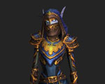 BFA Season 1 Warfronts Alliance Leather