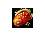 Awesomefish*20