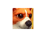 Corgnelius