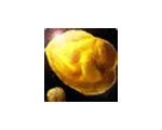 Gold Ore